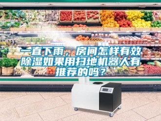 行業新聞一直下雨，房間怎樣有效除濕如果用掃地機器人有推薦的嗎？