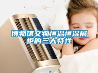 知識百科博物館文物恒溫恒濕展柜的三大特性