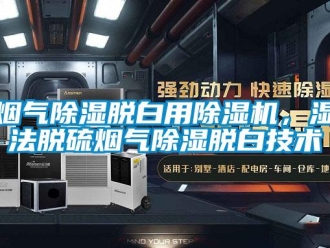知識百科煙氣除濕脫白用除濕機，濕法脫硫煙氣除濕脫白技術