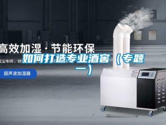 常見問題如何打造專業酒窖（專題一）