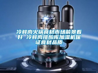 行業新聞冷鮮肉火鍋食材市場前景看好 冷鮮肉排酸庫加濕機保證食材品質