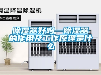 行業(yè)新聞除濕器好嗎—除濕器的作用及工作原理是什么