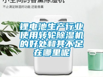 行業(yè)新聞鋰電池生產(chǎn)行業(yè)使用轉(zhuǎn)輪除濕機(jī)的好處和其不足在哪里呢