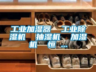 常見問題工業加濕器  工業除濕機  抽濕機  加濕機  恒 ...