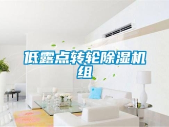 常見問題低露點轉輪除濕機組