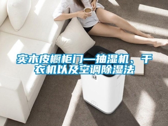 行業(yè)新聞實(shí)木皮櫥柜門(mén)—抽濕機(jī)、干衣機(jī)以及空調(diào)除濕法