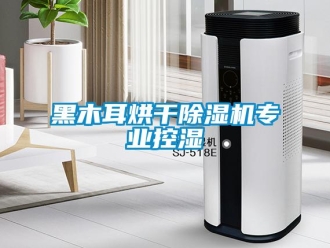 行業新聞黑木耳烘干除濕機專業控濕
