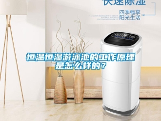 知識百科恒溫恒濕游泳池的工作原理是怎么樣的？