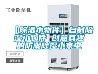 常見問題【除濕小物件】自制除濕小物件 創意有趣的防潮除濕小家電