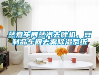 知識百科蒸煮車間蒸汽去除機，豆制品車間去霧除濕系統