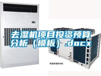 行業新聞去濕機項目投資預算分析（模板）.docx