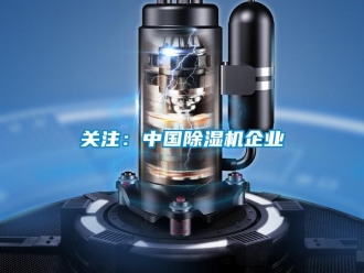 行業(yè)新聞關(guān)注：中國除濕機企業(yè)