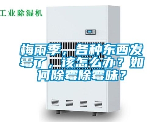常見問題梅雨季，各種東西發(fā)霉了，該怎么辦？如何除霉除霉味？