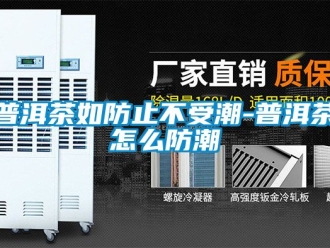 常見問題普洱茶如防止不受潮-普洱茶怎么防潮