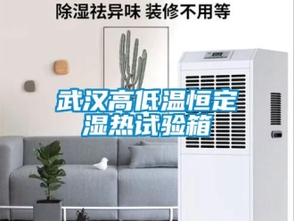 常見問題武漢高低溫恒定濕熱試驗箱