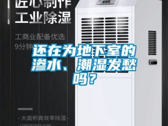 企業新聞還在為地下室的滲水、潮濕發愁嗎？