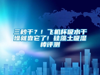 企業(yè)新聞三秒干？! 飛機杯吸水干燥就靠它了! 硅藻土吸濕棒評測