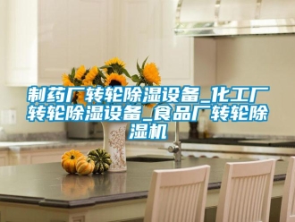 常見問題制藥廠轉(zhuǎn)輪除濕設(shè)備_化工廠轉(zhuǎn)輪除濕設(shè)備_食品廠轉(zhuǎn)輪除濕機(jī)