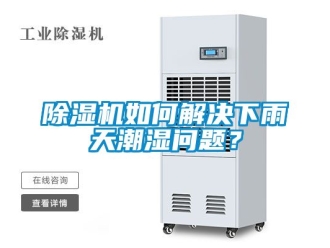 行業新聞除濕機如何解決下雨天潮濕問題？