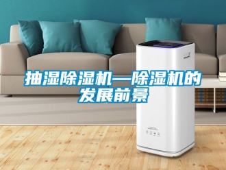 企業(yè)新聞抽濕除濕機—除濕機的發(fā)展前景