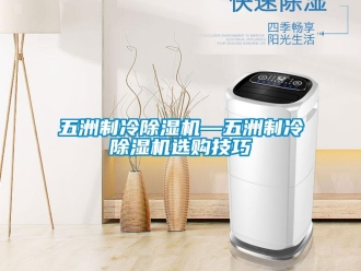 行業新聞五洲制冷除濕機—五洲制冷除濕機選購技巧