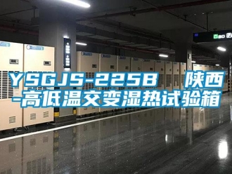 常見問題YSGJS-225B  陜西-高低溫交變濕熱試驗(yàn)箱