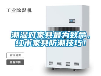 企業(yè)新聞潮濕對(duì)家具最為致命，紅木家具防潮技巧！