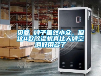 企業新聞貝菱 牌子雖然小眾，但這4款除濕機真比大牌空調好用多了