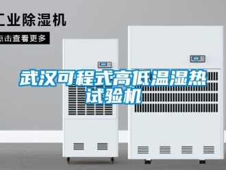 常見問題武漢可程式高低溫濕熱試驗機