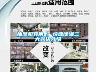 企業新聞抽濕機有用嗎 快速除濕三大妙招介紹