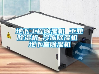 常見問題地下工程除濕機 工業(yè)除濕機 冷凍除濕機 地下室除濕機