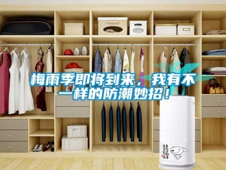 行業新聞梅雨季即將到來，我有不一樣的防潮妙招！