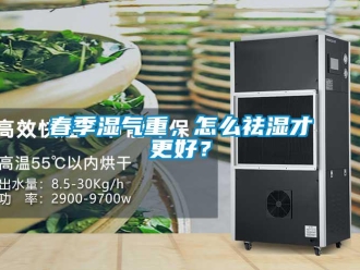 常見問題春季濕氣重，怎么祛濕才更好？