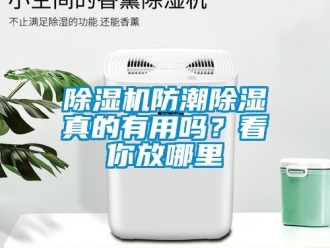 行業新聞除濕機防潮除濕真的有用嗎？看你放哪里