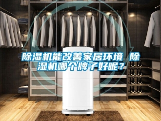 行業(yè)新聞除濕機(jī)能改善家居環(huán)境 除濕機(jī)哪個(gè)牌子好呢？