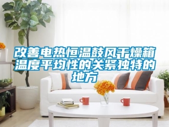 知識百科改善電熱恒溫鼓風干燥箱溫度平均性的關緊獨特的地方
