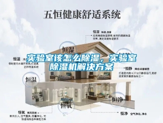 行業新聞實驗室該怎么除濕，實驗室除濕機解決方案