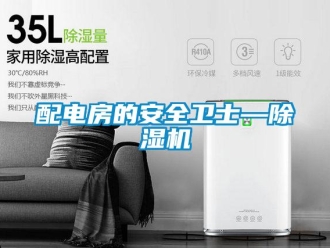 行業新聞配電房的安全衛士—除濕機