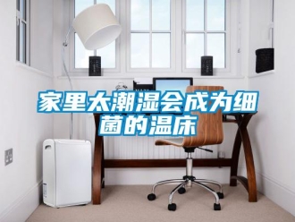 行業新聞家里太潮濕會成為細菌的溫床