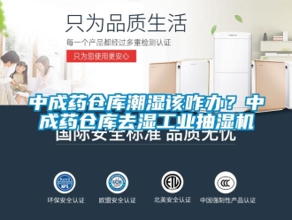 企業(yè)新聞中成藥倉庫潮濕該咋辦？中成藥倉庫去濕工業(yè)抽濕機(jī)