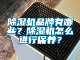 企業新聞除濕機品牌有哪些？除濕機怎么進行保養？