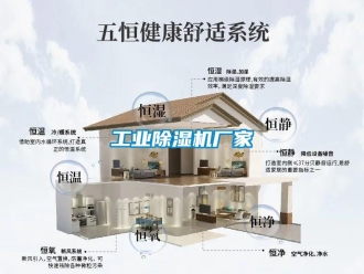 企業新聞工業除濕機廠家