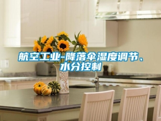 行業(yè)新聞航空工業(yè)-降落傘濕度調(diào)節(jié)、水分控制