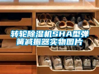 常見問題轉輪除濕機SHA型彈簧減振器實物圖片