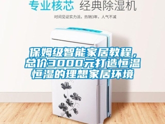常見問題保姆級智能家居教程，總價3000元打造恒溫恒濕的理想家居環境