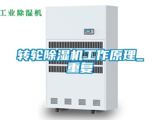常見問題轉(zhuǎn)輪除濕機工作原理_重復