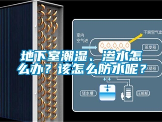 企業新聞地下室潮濕、滲水怎么辦？該怎么防水呢？
