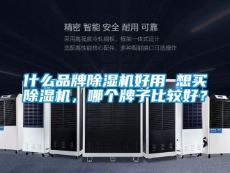 企業新聞什么品牌除濕機好用 想買除濕機，哪個牌子比較好？