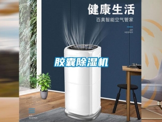 行業(yè)新聞膠囊除濕機(jī)
