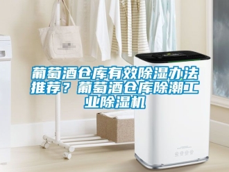 常見問題葡萄酒倉庫有效除濕辦法推薦？葡萄酒倉庫除潮工業(yè)除濕機(jī)